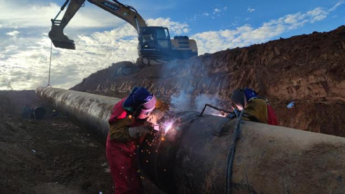 眾力匯聚 只為保供7.jpg